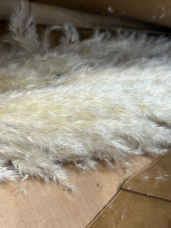 Photo 1 of 40" 11 PCS Dried Pampas Grass Decor Tall,Large Natural Beige pompas Grass,Tall Pampas Grass for Floor Vase,Wedding,Party,Farmhouse,Boho Home Decor,and Creating a Bohemian Ambiance