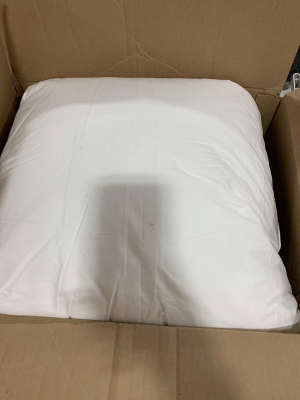 Photo 1 of SET OF 2 PILLOW 20 X 20
