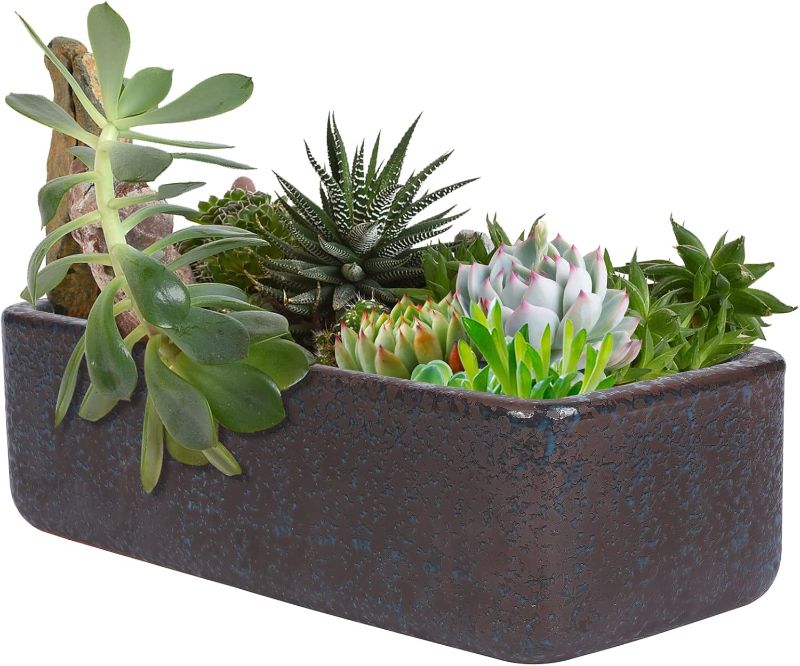 Photo 1 of Thirtypot 10 Inch Rectangular Terracotta Bonsai Planter Indoor/Outdoor Flower Pot with Drainage Device