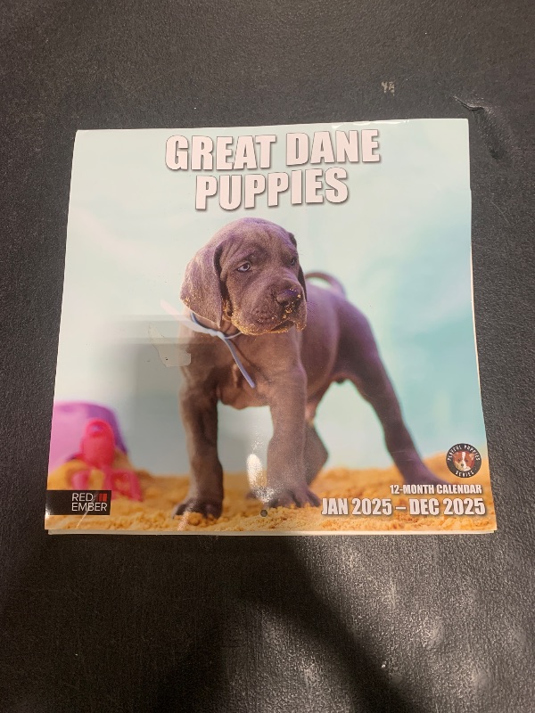 Photo 1 of RED EMBER Great Dane Puppies 2025 Wall Calendar 12 Month | 12" x 24" Open | Thick & Sturdy Paper | Giftable | Calendar 2025
