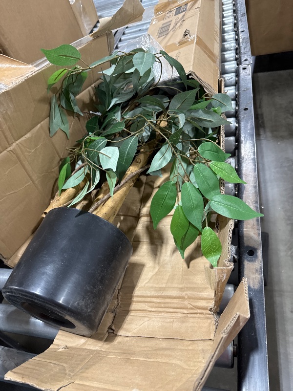 Photo 1 of SOGUYI 7ft Artificial Ficus Tree with Natural Wood Trunk, Silk Fake Ficus Tree in Plastic Nursery Pot, Faux Plant for Office Home, Indoor Outdoor Decor, 1 Pack