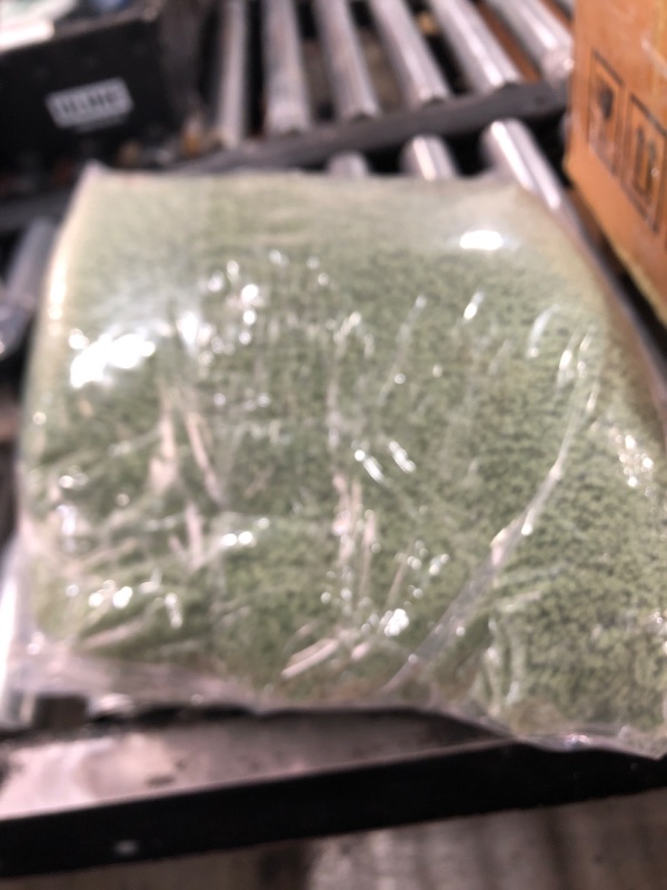 Photo 1 of COSY HOMEER Bath Rugs for Bathroom Extra Thick- Anti-Slip Bath Mats Soft Plush Yarn Shaggy 100% Strong Mirco Polyeste Mat Living Room Bedroom Mat Floor Water Absorbent(Green,20x32 - Inches)