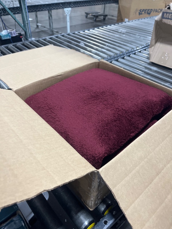 Photo 1 of Pettop Area Rugs for Bedroom Living Room, 4x6 Burgundy Red Thickened Memory-Foam Indoor Carpets, Modern Aesthetic Minimalist Super Soft Comfy Carpet for Boys Girls Adults Room Dorm Home Decor