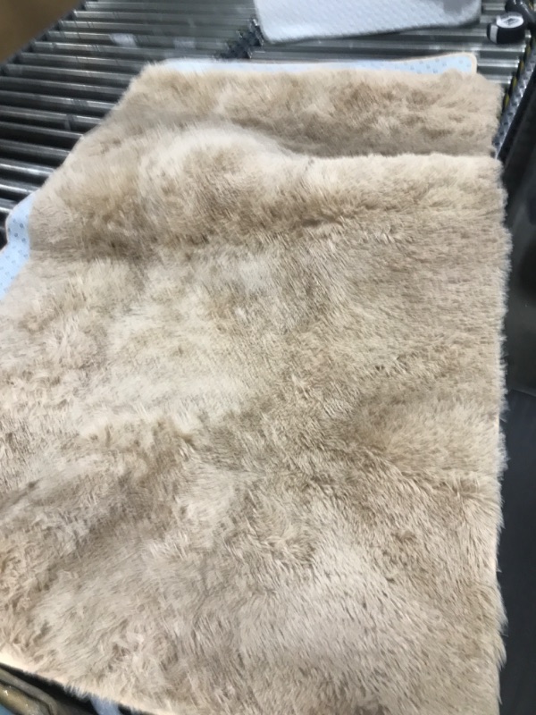 Photo 1 of BROWN SOFT RUG SET OF 2
58 LENGTH 
36 WIDTH