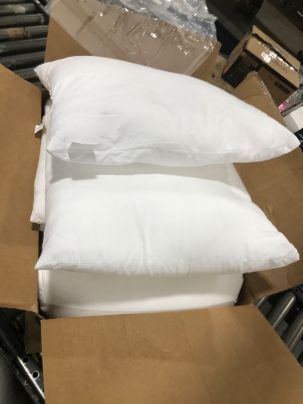 Photo 1 of PREMIUM PILLOW INSERT
6PK