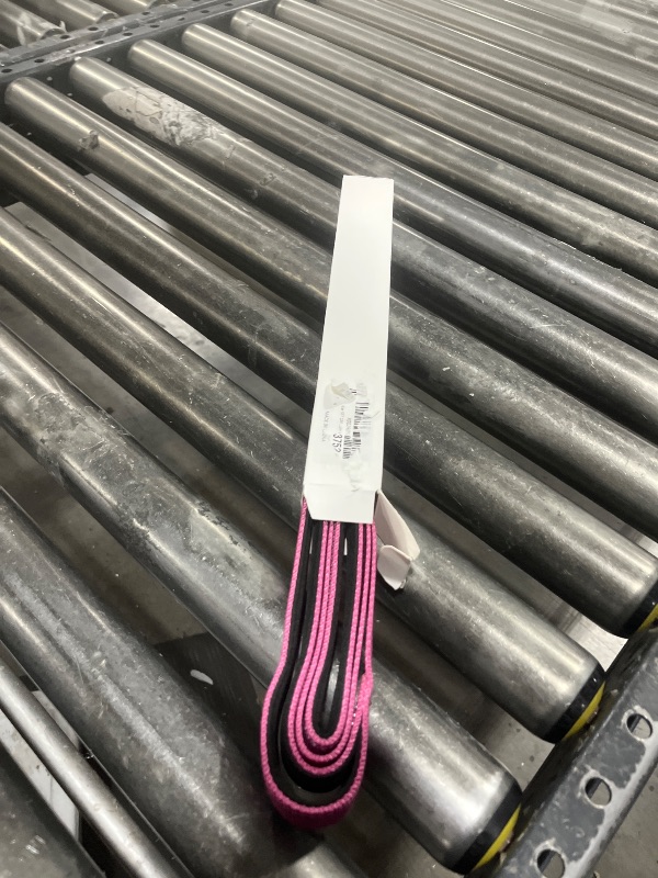 Photo 1 of PINK LEASH