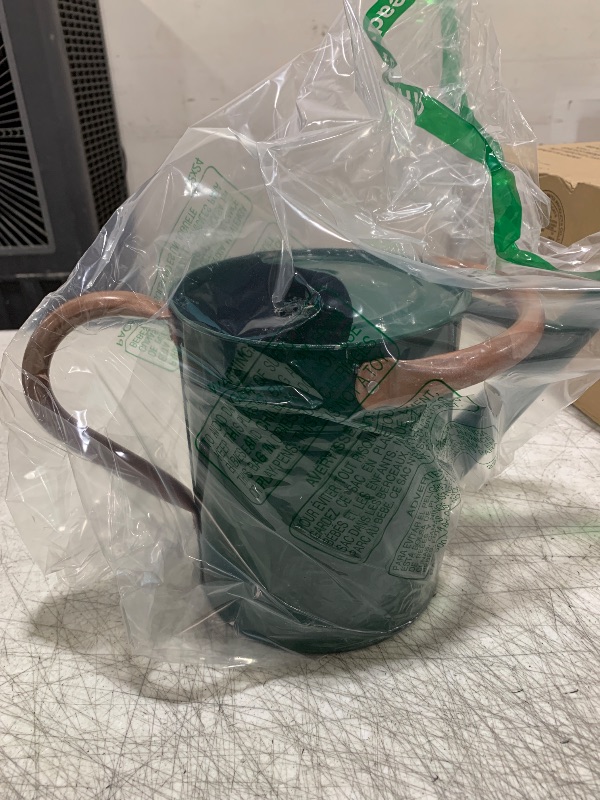 Photo 1 of SunnyTong Metal Watering Can for Outdoor and Indoor Plants, Watering Can Decor, 1 Gallon (NewGreen)