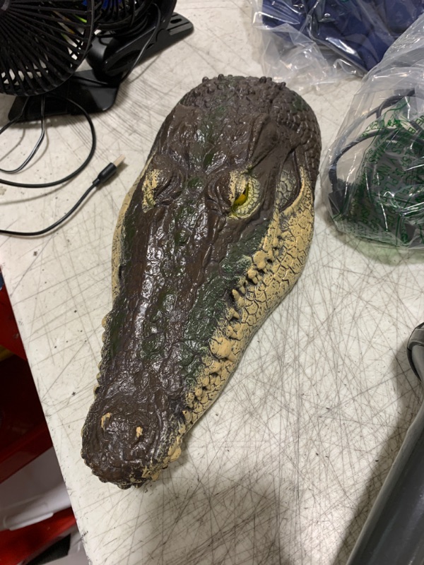 Photo 1 of ALIGATOR HEAD 