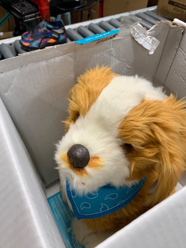 Photo 1 of (doesn't work) Joy for All - Freckled Pup - Brown and White Soft-Touch Coat - Realistic and Lifelike Interactive Companion Pets
