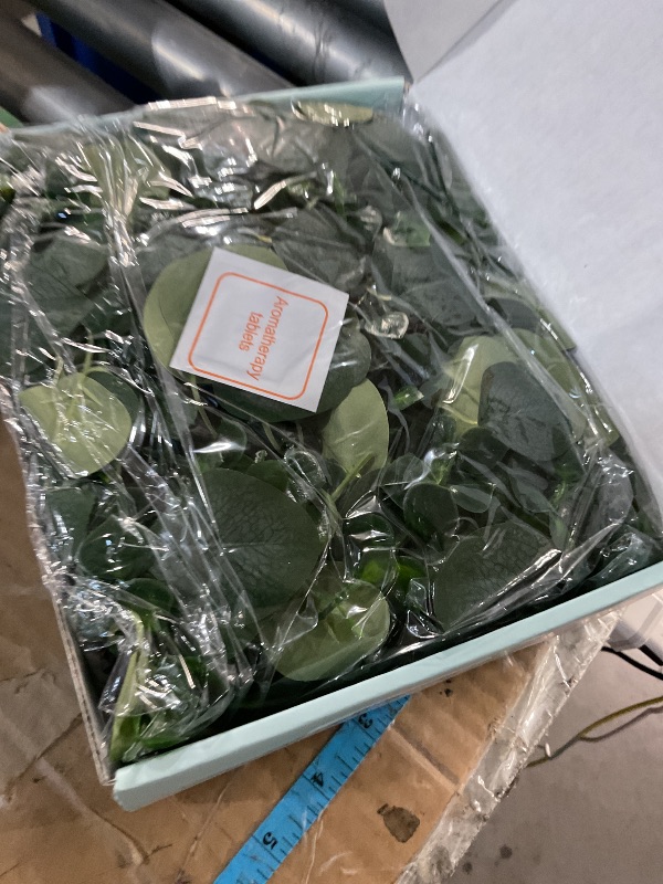 Photo 1 of (USED/FAIR) Dolicer 2 Packs 6FT Artificial Eucalyptus Garland, Faux Greenery Garland Hanging Fake Silver Dollar Eucalyptus Leaves Vines for Wedding Backdrop Arch Table Wall Party Home Decor