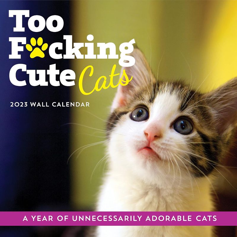 Photo 1 of ** PACK OF 3**
2023 Too F*cking Cute Cats Wall Calendar: A Year of D*mn Adorable Kitties (Funny Monthly Calendar & White Elephant Gag Gift for Cat Lovers) Calendar – Wall Calendar, August 1, 2022
