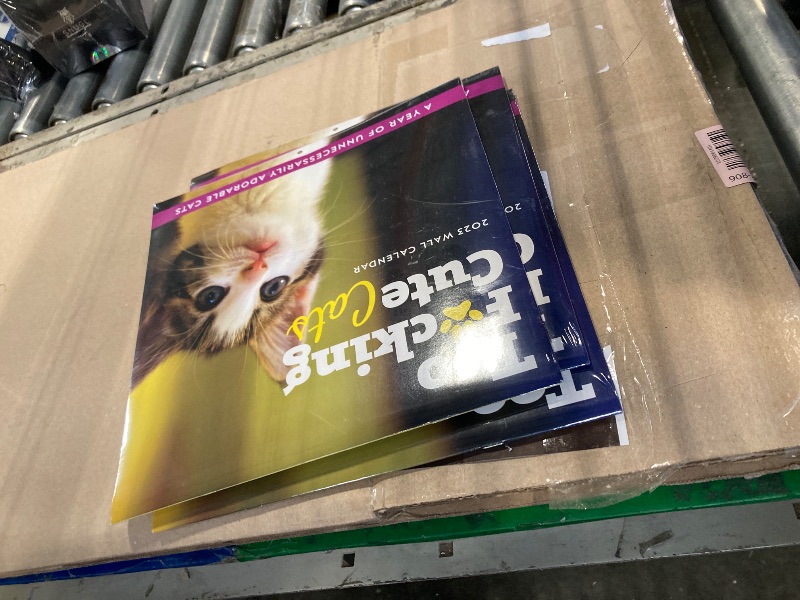 Photo 1 of ** PACK OF 3**
2023 Too F*cking Cute Cats Wall Calendar: A Year of D*mn Adorable Kitties (Funny Monthly Calendar & White Elephant Gag Gift for Cat Lovers) Calendar – Wall Calendar, August 1, 2022
