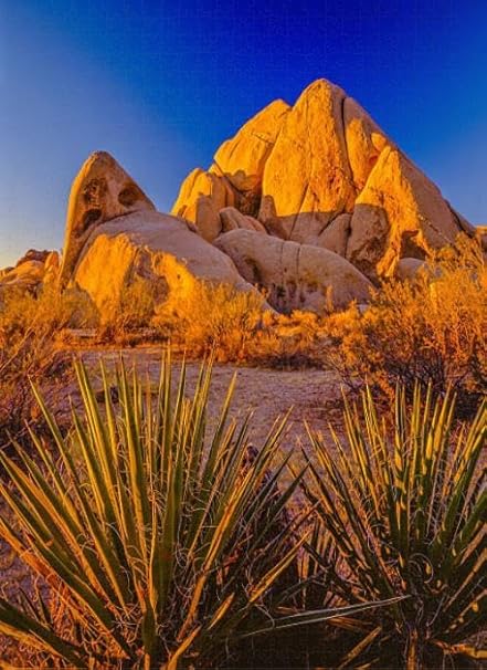 Photo 1 of 
Puzzles for Adults 1000 Pieces Jigsaw Puzzles with Letters on Back California Desert at Sunset Joshua Tree National Park Difficult Hard Cool Puzzle 1000 Piece Puzzle Clearance