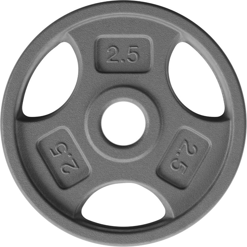 Photo 1 of (USED/FAIR) (SINGLE) Fitvids Cast Iron 1-Inch Standard Weight Plate for Strength Training & Weightlifting, Multiple Weights Available, 25LB (Single)