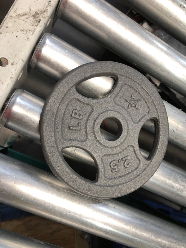 Photo 1 of (USED/FAIR) (SINGLE) Fitvids Cast Iron 1-Inch Standard Weight Plate for Strength Training & Weightlifting, Multiple Weights Available, 25LB (Single)