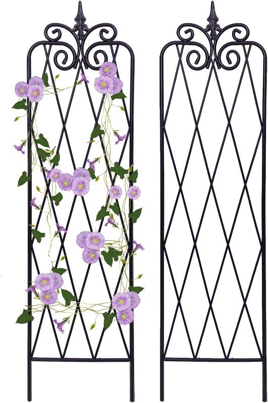 Photo 1 of (see all images) Scendor Garden Trellis Black