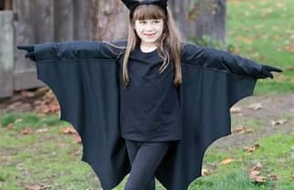 Photo 1 of **PHOTO FOR REFERENCE** Bat Costume cover for shoulders (maybe womens small or kids)