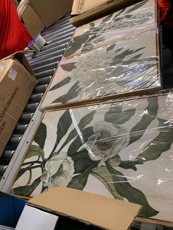 Photo 1 of (USED/FAIR) Large Framed Canvas Wall Art - Natural Float Framed White Flowers Green Leaves Pictures Decor Simple Botanical Plants Artwork for Living Room Bedroom Kitchen Home Office Decoration 48" X 24" Set of 3