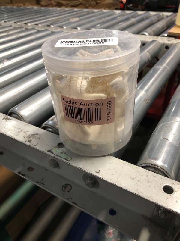 Photo 1 of JQAQJU 3-4 Inches Large Starfish and Scallop Shells for Crafts 12PCS, Natural Beach Sea Shells for Crafting, Baking Shells Perfect for White Christmas Decor Beach Party Wedding Fishtank DIY Crafts