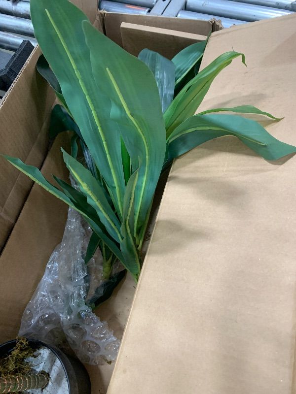 Photo 1 of Nearly Natural 48" Dracaena Silk Plant (Real Touch) Green