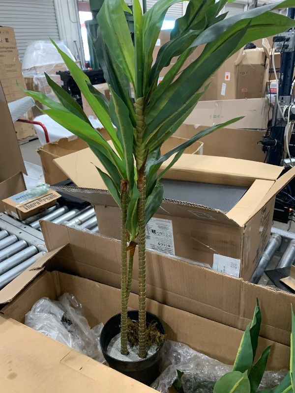 Photo 1 of Nearly Natural 48" Dracaena Silk Plant (Real Touch) Green