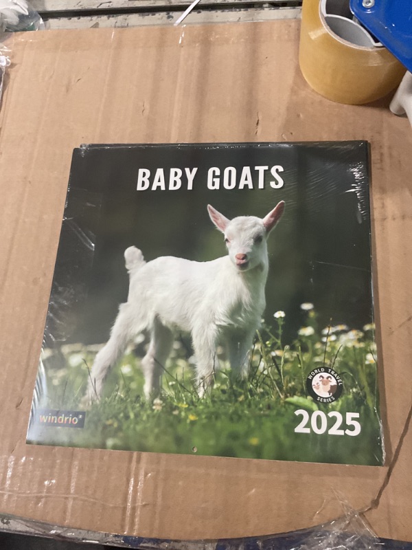 Photo 1 of 2025 Wall Calendar,Calendar 2025, January 2025 - December 2025, Wall Calendar Baby Goats, 12" x 24" Opened,Full Page Months Thick & Sturdy Paper for Calendar Organizing & Planning 2 pack
