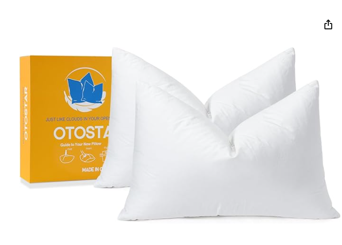 Photo 1 of OTOSTAR Pack of 2 Down and Feather Throw Pillow Inserts, 12 x 20 Soft Fluffy Pillow Inserts with 100% Cotton Cover Decorative Pillows for Sofa Couch Bed-White