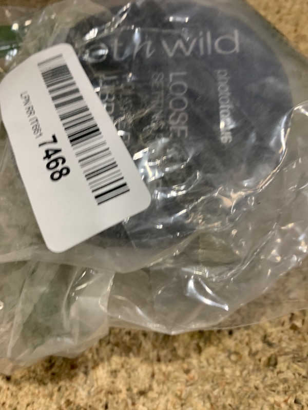 Photo 1 of wet n wild Photo Focus Loose Baking Setting Powder, Highlighter Makeup, Fair to Medium & Tan Skin Tones, Translucent