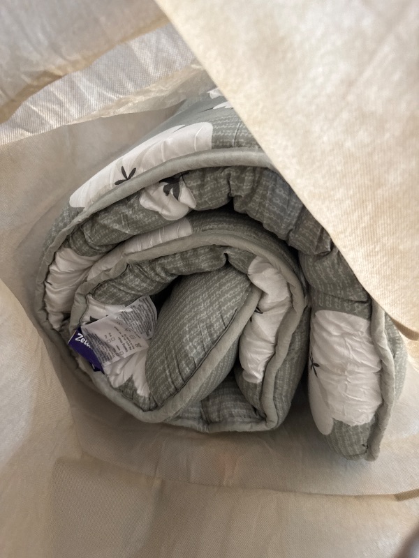 Photo 1 of (FLATMATRESS) (MISSING BOX) Zelladorra Japanese Floor Mattress, Futon Mattress with Portable Storage Bag and Washable Cover, Roll Up Thick Tatami Mat Suitable for Camping, Guest Room, Grey Cotton, Twin