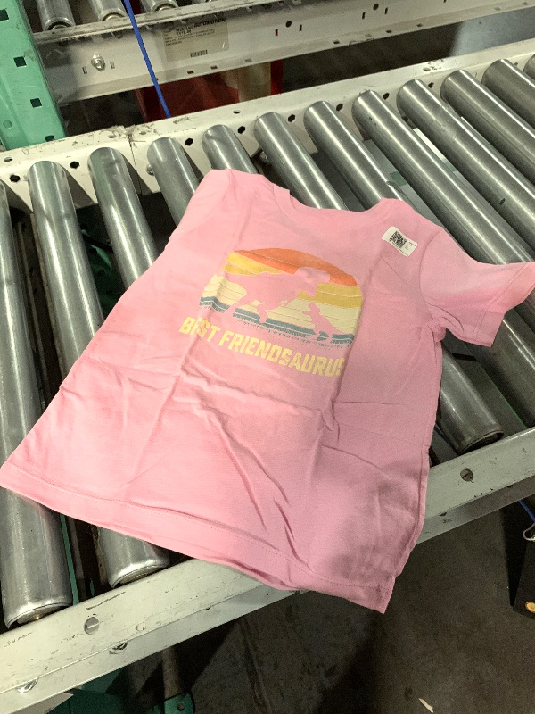 Photo 1 of (4T) (BAGGED) (USED/FAIR) Best friendsaurus T Rex Dinosaur Best friend Saurus Family T-Shirt, Kids 4