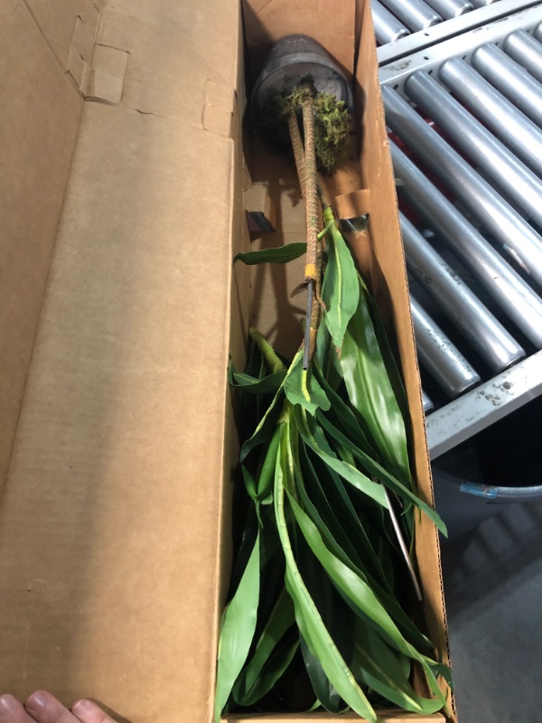 Photo 1 of (USED/FAIR) (NOT PERFECT) Nearly Natural 48in Dracaena Silk Plant (Real Touch) Green
