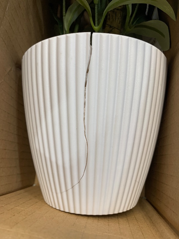 Photo 1 of ***(CRACK IN POT)***AceList Faux Olive Tree, 16.9 Inches Small Fake Olive Trees with White Pot, Realistic Fake Tree Potted Plant and Lifelike Fruits for Home Room Modern Farmhouse Decor