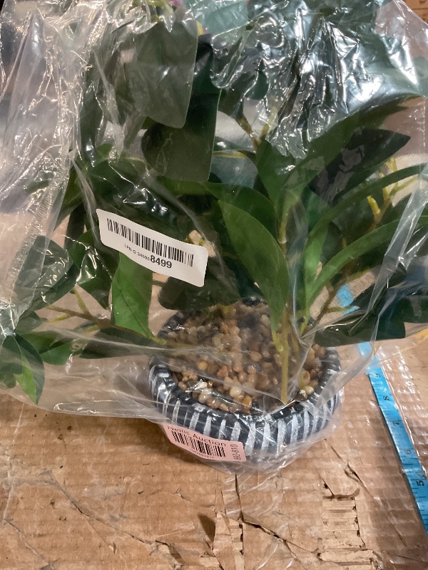Photo 1 of AlphaAcc Artificial Plants Decor Greenery Fake Succulents Indoor Potted Fake Plant with Rustic Black Clay Planter for Farmhouse Room Bathroom Bedroom Kitchen Office Table Desk Decor