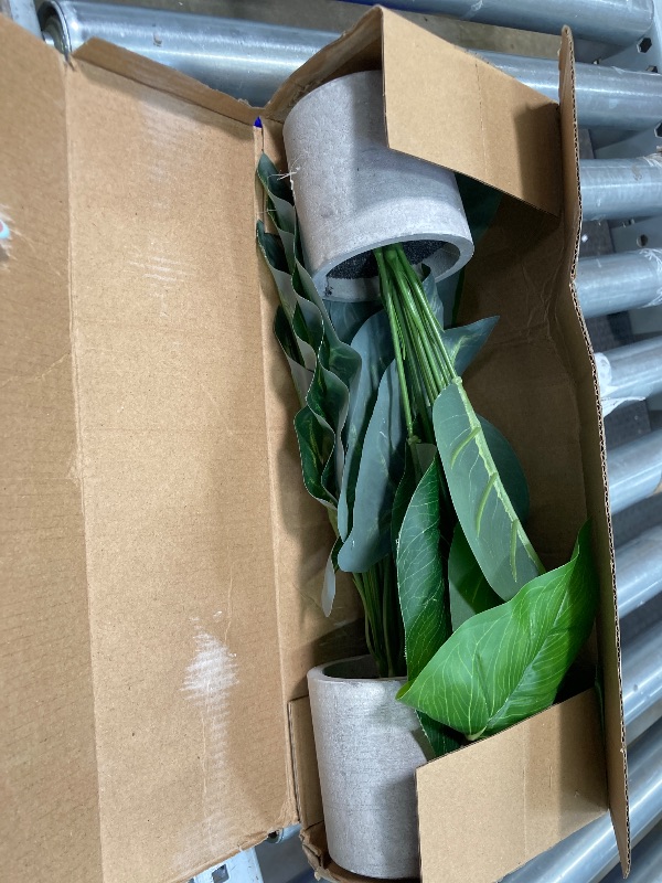 Photo 1 of 2 Pack 5 ft Artificial Olive Plants with Realistic Leaves and Natural Trunk, Silk Fake Olive Tree in Black Plastic Pot, Faux Olive Tree for Office Home