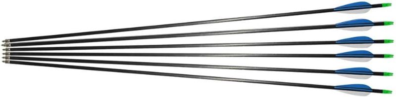 Photo 1 of ***** damage parts only*** nonrefundable****TOPARCHERY 6pcs 32 inch Carbon Arrows for Compound Bow and Recurve Bow, 400 Spine Arrows with Screwed Field Points and bag 