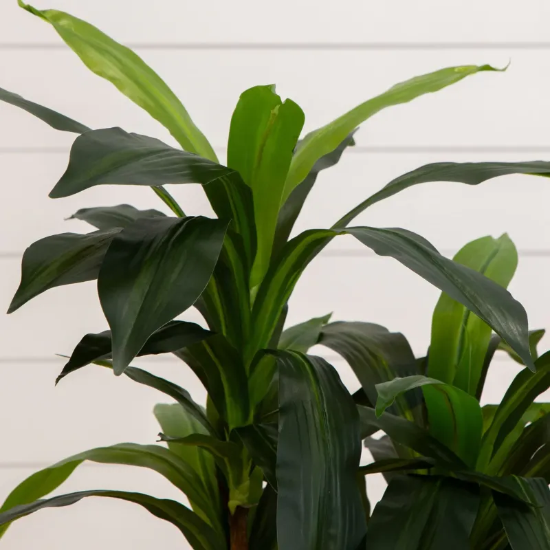 Photo 1 of  Artificial Ficus Tree with Black Tall Planter, Realistic Silk UV-Resistant Leaves & Natural Wood