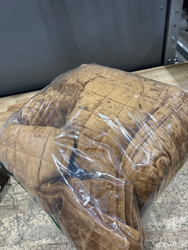 Photo 1 of LEAONME Velvet Quilt Full/Queen Size-90''x98'', Lightweight Caramel Velvet Comforter Set with 2 Pillow Shams, Soft Bedspread Coverlet Quilted Bedding Set for All Season