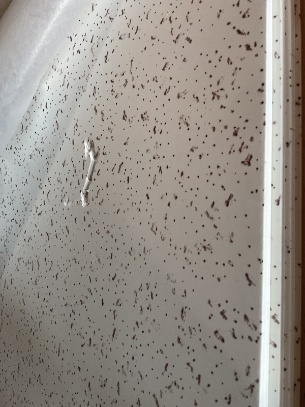 Photo 1 of **DENTS AND CREASES **2ft x 4ft Printed Pro Ceiling Tile?Drop Ceiling Tiles 24 x 48in. Waterproof, Washable and Fire-Rated - Reusable - High-Grade PVC to Prevent Breakage-Package of 10 Tiles