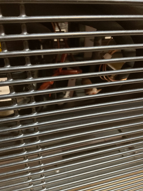 Photo 1 of **DIRT SCUFFS AND DENTS ON OUTSIDE**Commercial Freezer 54"W 2 Door Stainless Steel Reach-in Solid Door Upright Freezer Fan Cooling 49 Cu.ft Freezers -8-1°F for Restaurant, Bar, Shop