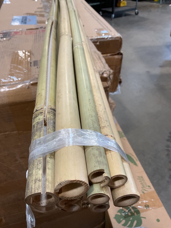 Photo 1 of **ONE CRACKEDv THROUGH THE MIDDLE**Cambaverd Bamboo Stakes 8 Feet, Diameter of 1 Inch Thicker Garden Stakes, Natural Plant Stakes for Tomatoes, Cucumbers, Grape Vine Climbing Plants Support and Natural Decoration - 10 Pack Bamboo Poles
