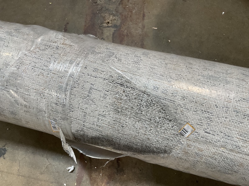 Photo 1 of **DIRTY FROM TRANSPORT **Loloi Amber Lewis Alie Collection ALE-02 Sand/Sky 11'-6'' x 15'-7'', .13'' Pile Height, Area Rug