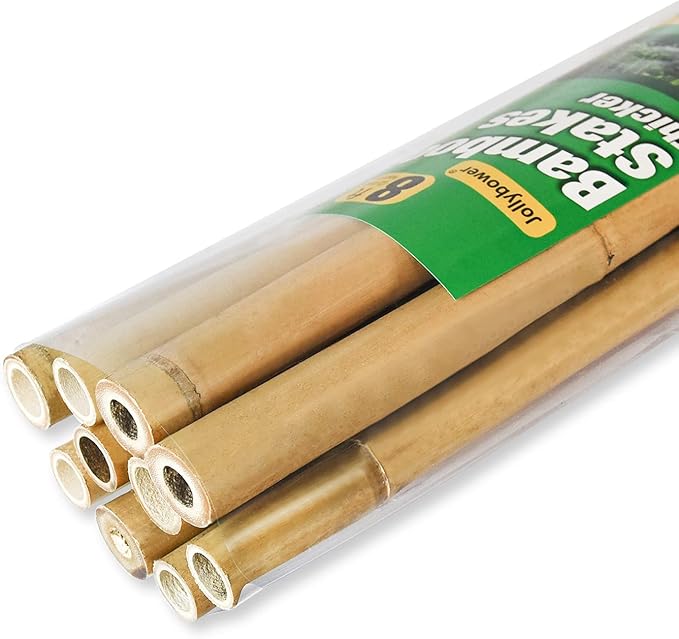 Photo 1 of 10pcs 1" D Thicker Heavy Duty Bamboo Stakes, 8FT Plant Stakes, Natural Garden Stakes for Tomato, Bean, Flowers,Trees Potted and Climbing Plant Support