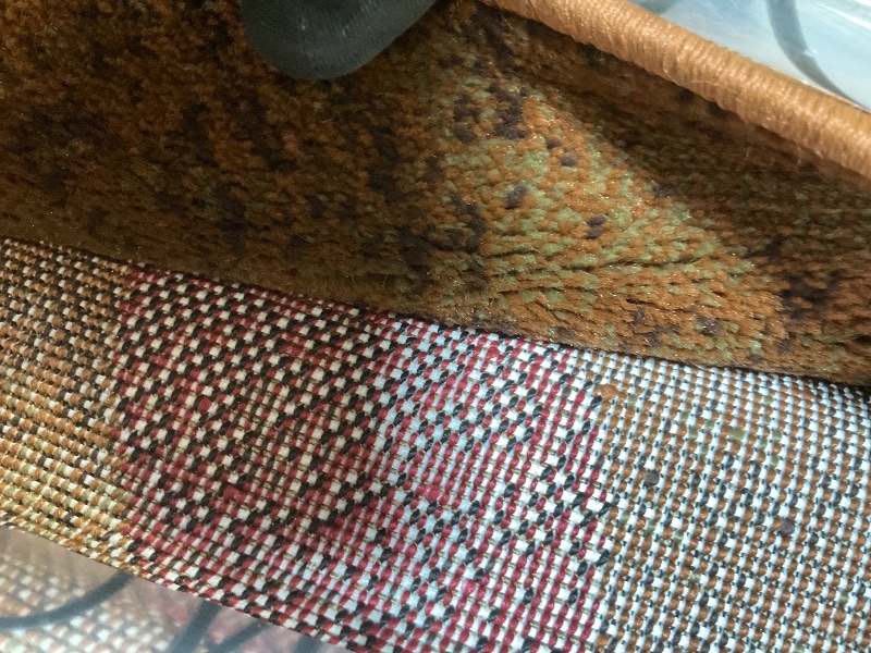 Photo 1 of **DIRTY FROM TRANSPORT**Home Dynamix Tribeca Amelia Modern Area Rug | 7'10" x 10'6" Rectangle | Beige/Green/Red