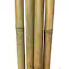 Photo 1 of  Bamboo Pole 8 ft. L, (10-Set)