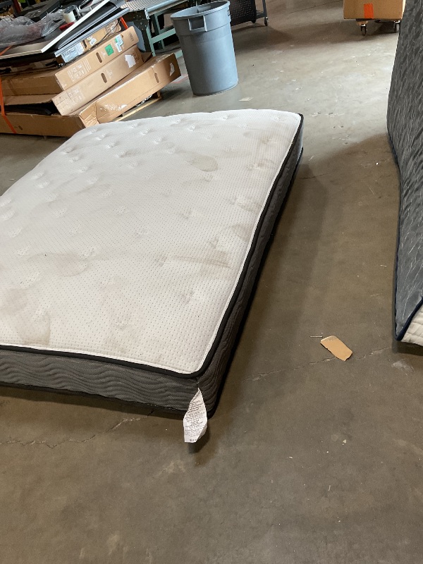 Photo 1 of **DIRTY FROM TRANSPORT**ZINUS 10 Inch Support Plus Pocket Spring Hybrid Mattress, Queen, Strong Coils for Durable Support, Pocket Innersprings for Motion Isolation,
