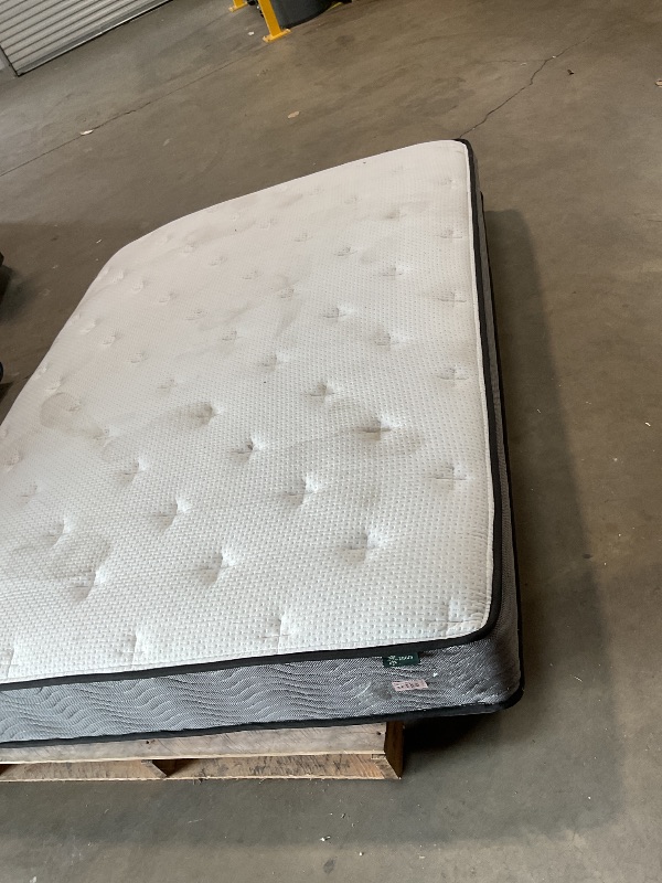 Photo 1 of **DIRTY FROM TRANSPORT**ZINUS 10 Inch Support Plus Pocket Spring Hybrid Mattress, Queen, Strong Coils for Durable Support, Pocket Innersprings for Motion Isolation,