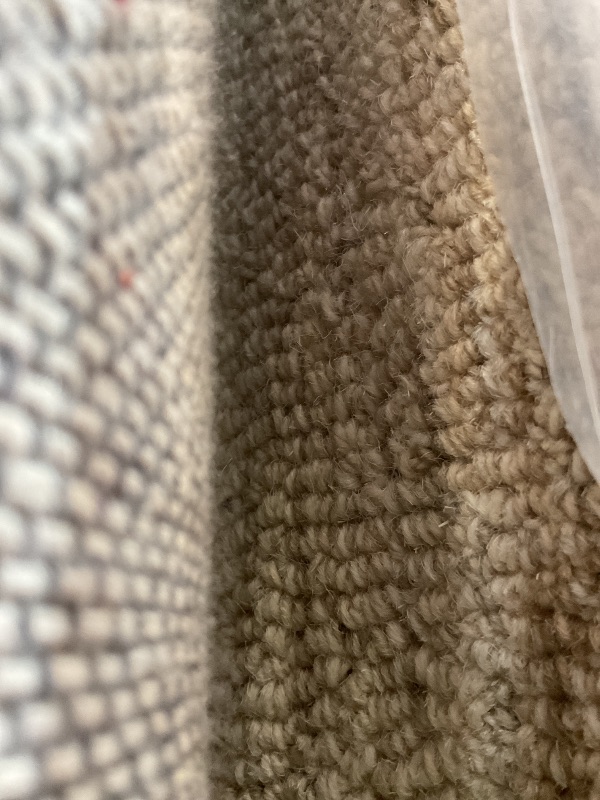Photo 1 of *COLOR MAY VARY* Loloi Chris Loves Julia Chris Collection CHR-03 Ivory/Clay 5'-0'' x 7'-6'', .50" Pile Height, Area Rug