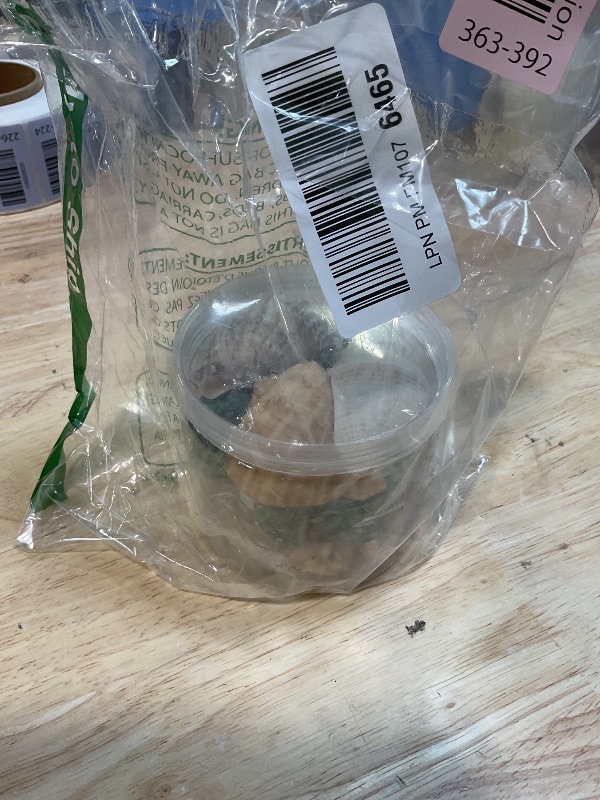 Photo 1 of 15PCS Hermit Crab Shells Include Small & Medium and Large (6 Types) Natural Seashells, for Hermit Crab Supplies and Replacement Sea Shells