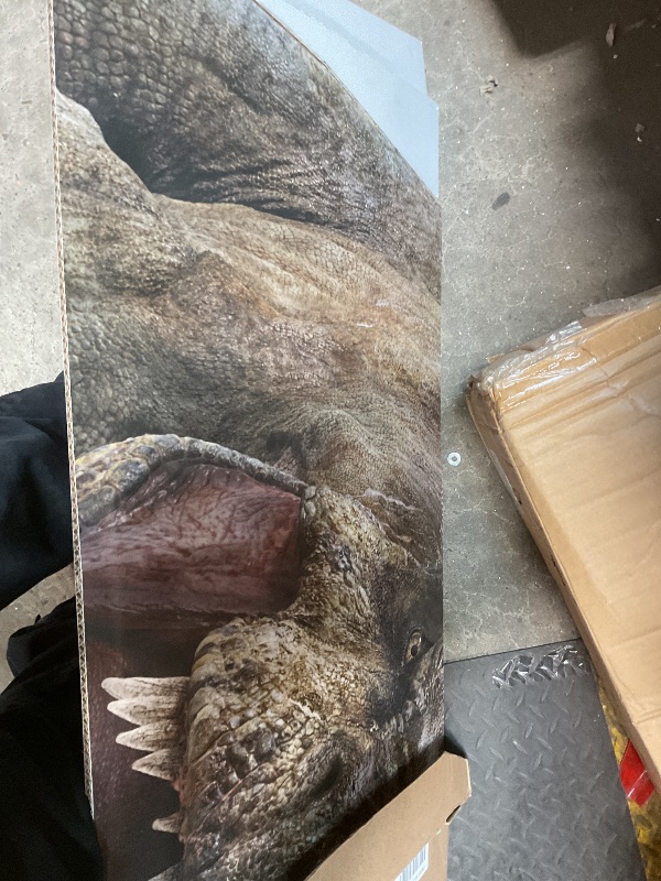 Photo 1 of ** minor hole**T-Rex cardboard cardboard cutout