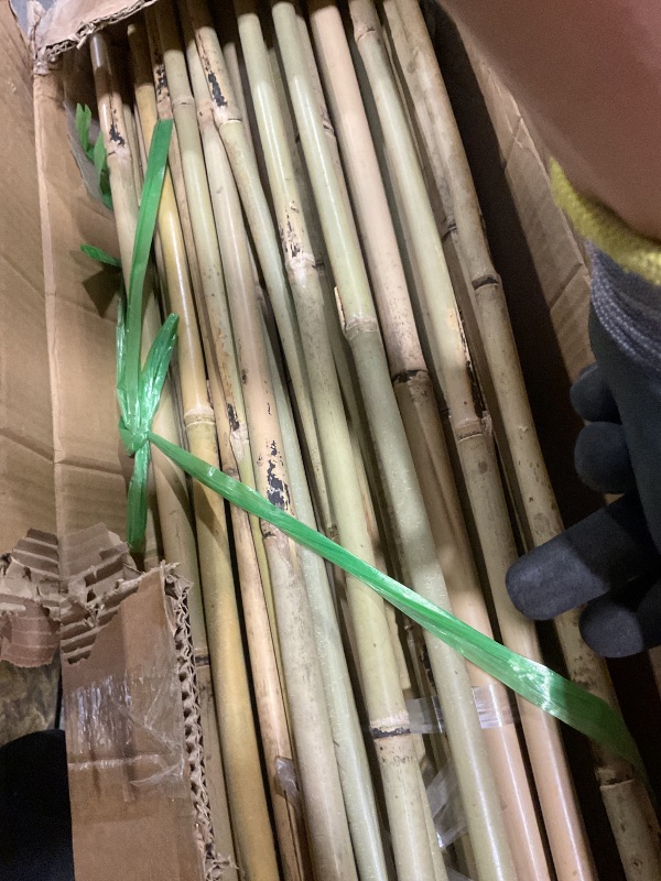 View 3 of **DIRT**Jollybower 3/4" D 7 Feet Bamboo Stakes 50 Pack, Thicker Heavy-Duty Plant Stakes, Natural Garden Stakes for Bean, Tomato, Bean, Flowers,Trees Potted and Climbing Plant Support
